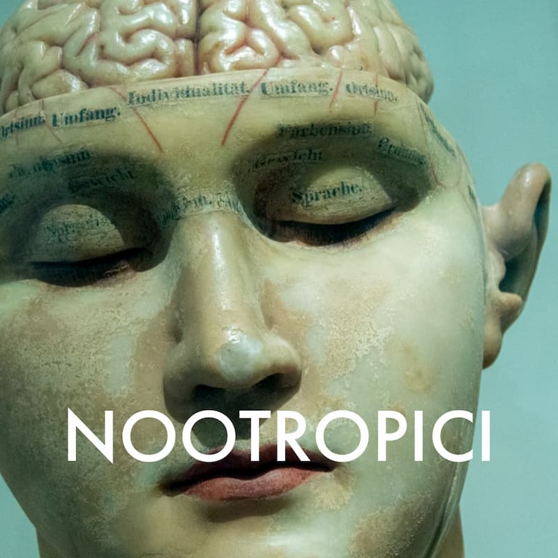 nootropici