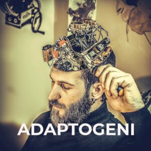 Adaptogeni