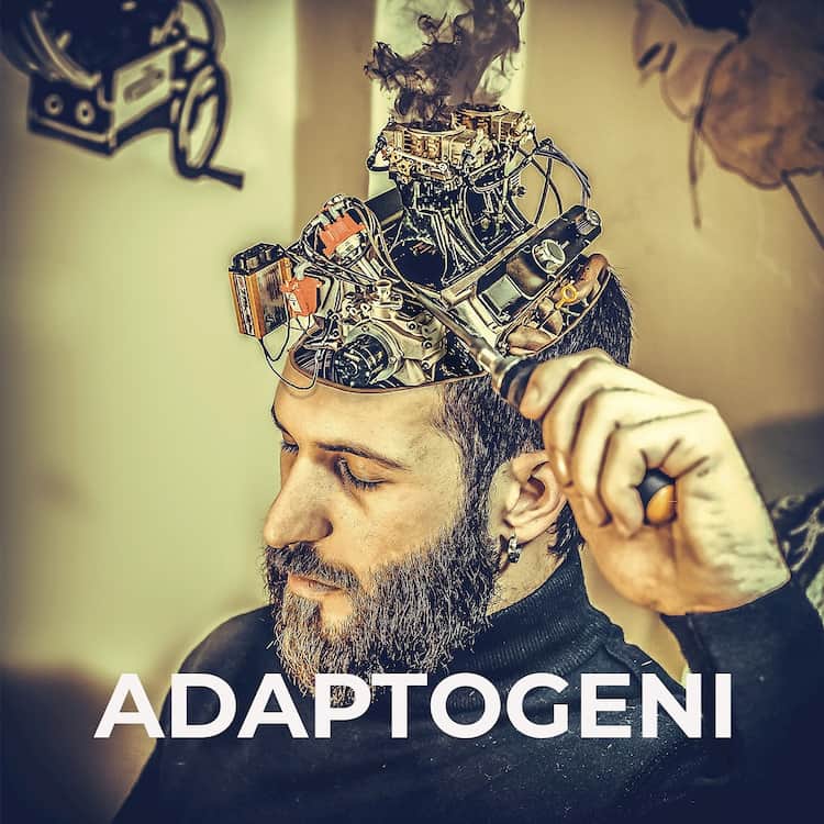 Adaptogeni
