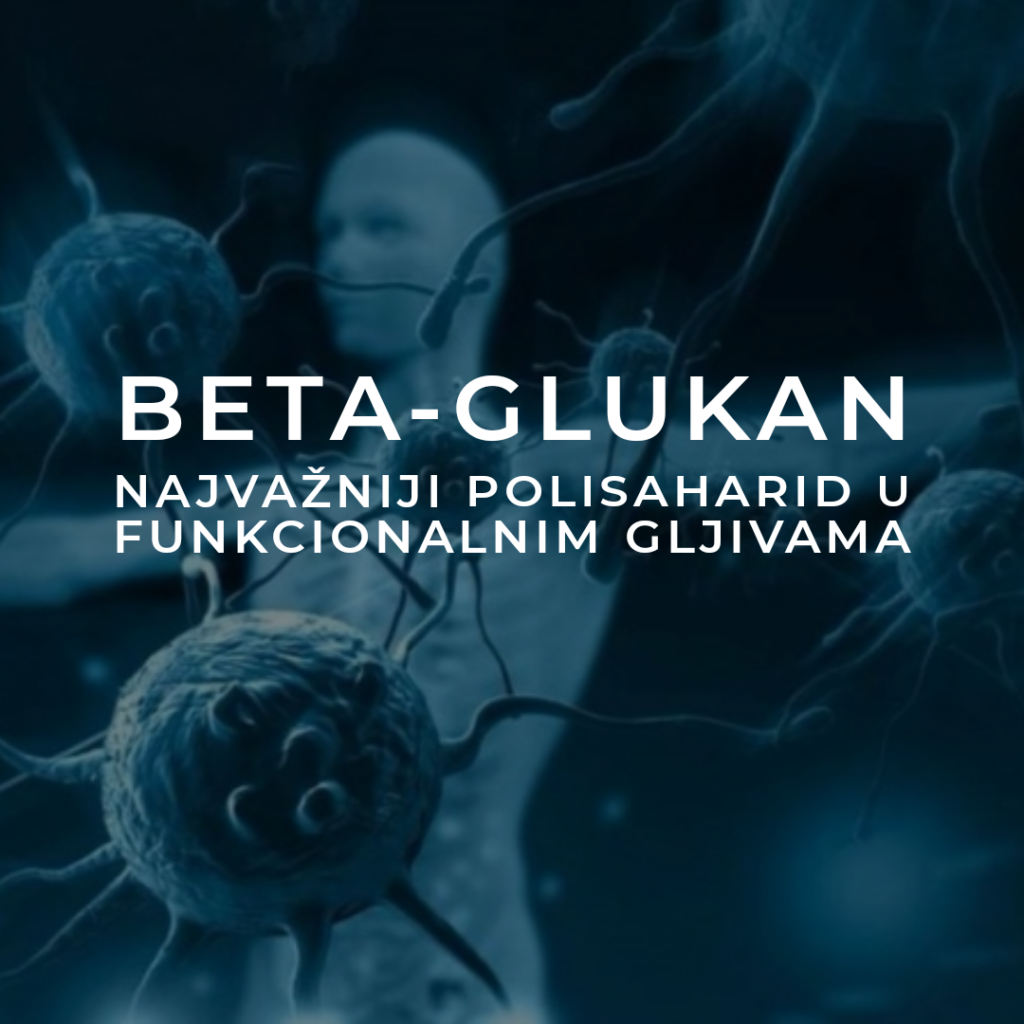 beta glukan